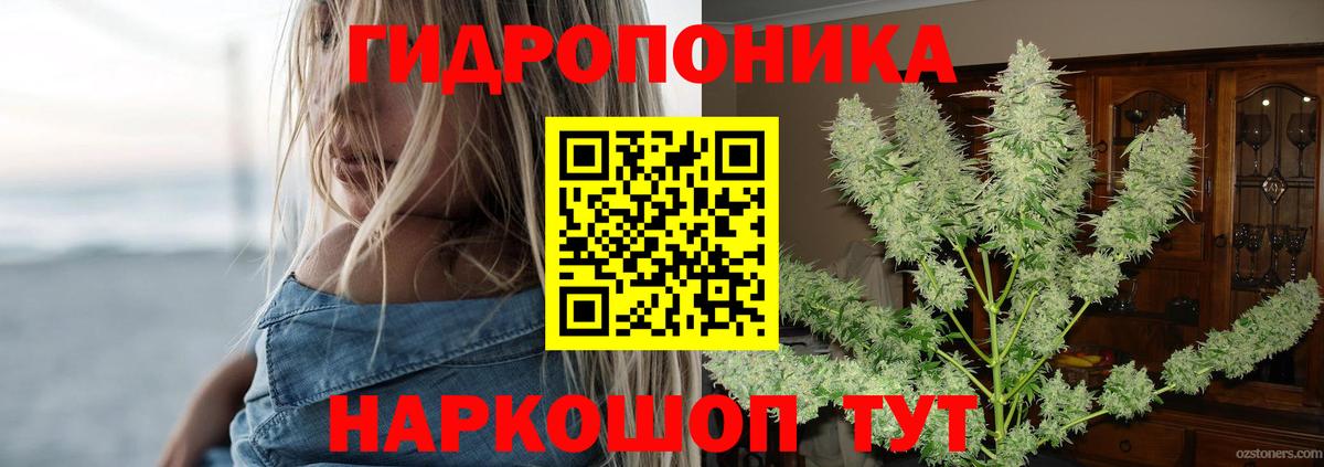 Канабис план  Бошки марихуана Amnesia  Сергиев Посад  Вход с VPN  Бошки марихуана семена  Канабис конопля 